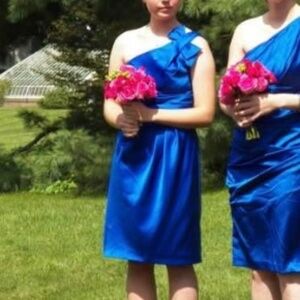 Royal Blue Satin Dress